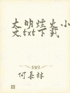 大明烟火小说全文txt下载