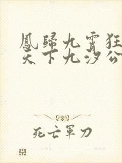 凤归九霄狂妃逆天下九汐公子