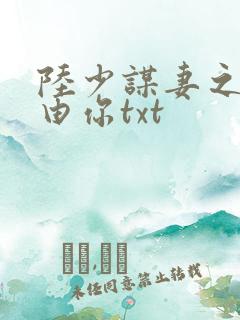 陆少谋妻之婚不由你txt