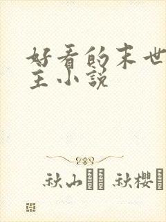 好看的末世双男主小说