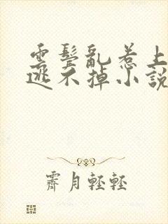 云鬓乱惹上权臣逃不掉小说全文