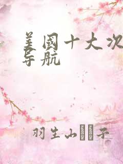 美国十大次华人导航