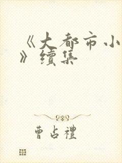 《大都市小爱情》续集