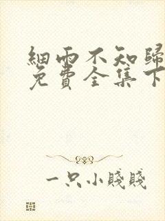 细雨不知归漫画免费全集下拉式漫画