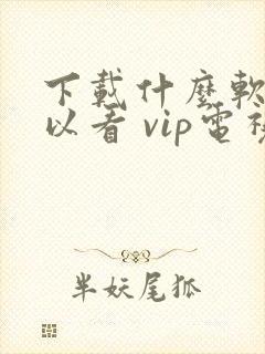 下载什么软件可以看 vip电视剧免费