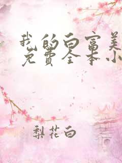 我的白富美老婆免费全本小说