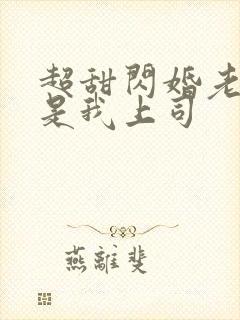 超甜闪婚老公竟是我上司