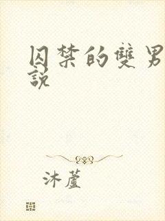 囚禁的双男主小说