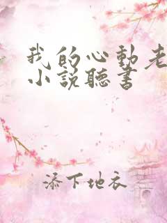 我的心动老板娘小说听书