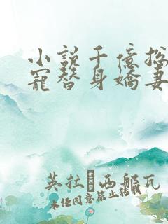 小说千亿总裁独宠替身娇妻完整版未删减小说