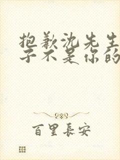 抱歉沈先生,孩子不是你的合集免费播放