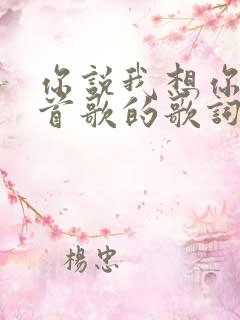 你说我想你是哪首歌的歌词