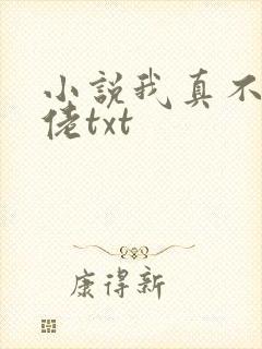 小说我真不是大佬txt
