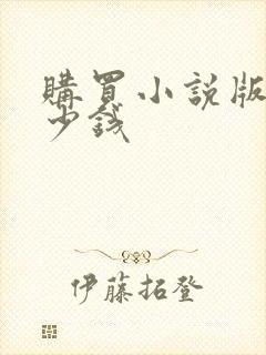 购买小说版权多少钱