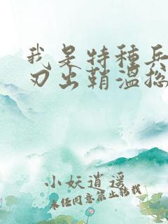 我是特种兵之利刃出鞘温总