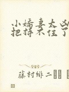 小娇妻太凶陆总把持不住了短剧全集