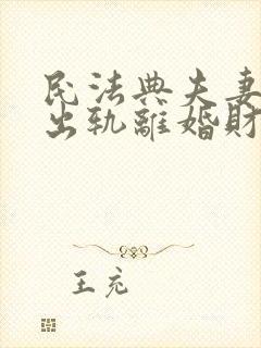 民法典夫妻一方出轨离婚财产怎么处理