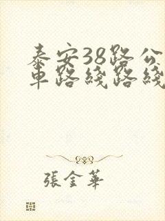 泰安38路公交车路线路线查询