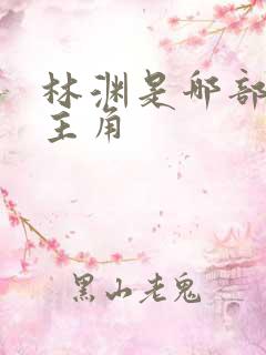 林渊是哪部小说主角