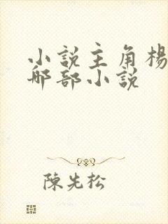 小说主角杨飞是哪部小说