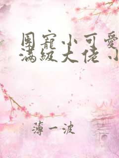 团宠小可爱成了满级大佬 小说