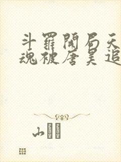 斗罗开局天使武魂被唐昊追杀