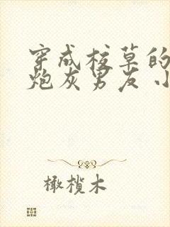 穿成校草的纯1炮灰男友 小说