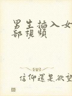 男生插入女生阴部视频