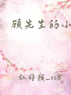 顾先生的小娇妻