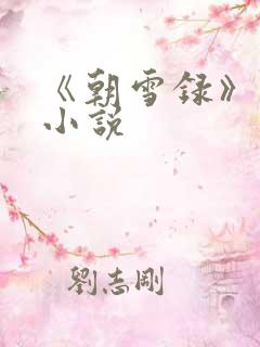 《朝雪录》原著小说