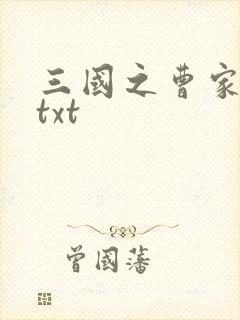 三国之曹家逆子txt