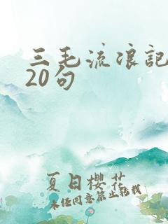 三毛流浪记摘抄20句