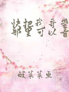 快把我哥带走在那里可以看