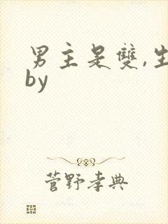 男主是双,生子by