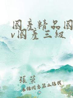 国产精品国产av国产三级