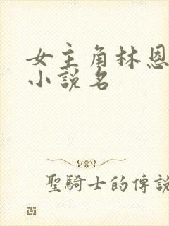 女主角林恩恩的小说名