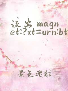 流出 magnet:?xt=urn:btih