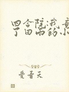 四合院:我竟娶了田雨的小说