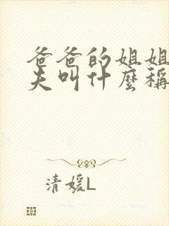 爸爸的姐姐的丈夫叫什么称呼