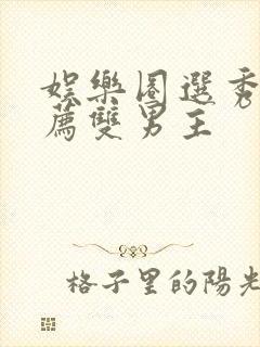 娱乐圈选秀文推荐双男主