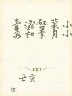 青涩启蒙小说张勇和李月小说