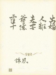 霍爷夫人出价一千亿要离婚的小说免费阅读