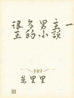 很多男主一个女主的小说
