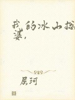 我的冰山总裁老婆,