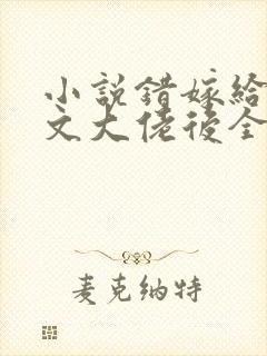 小说错嫁给年代文大佬后全本阅读