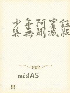 少年阿宾钰慧续集无删减版