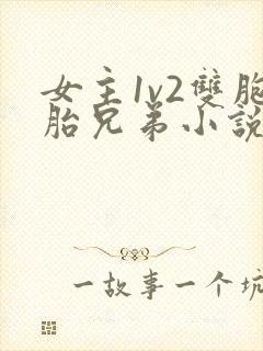 女主1v2双胞胎兄弟小说