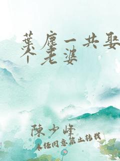 叶尘一共娶了几个老婆