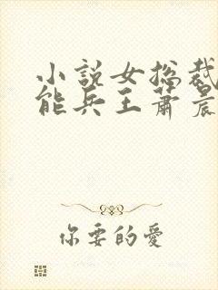 小说女总裁的全能兵王萧晨完全版