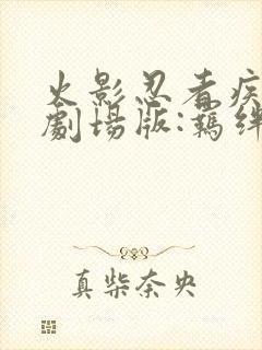 火影忍者疾风传剧场版:羁绊 动画片